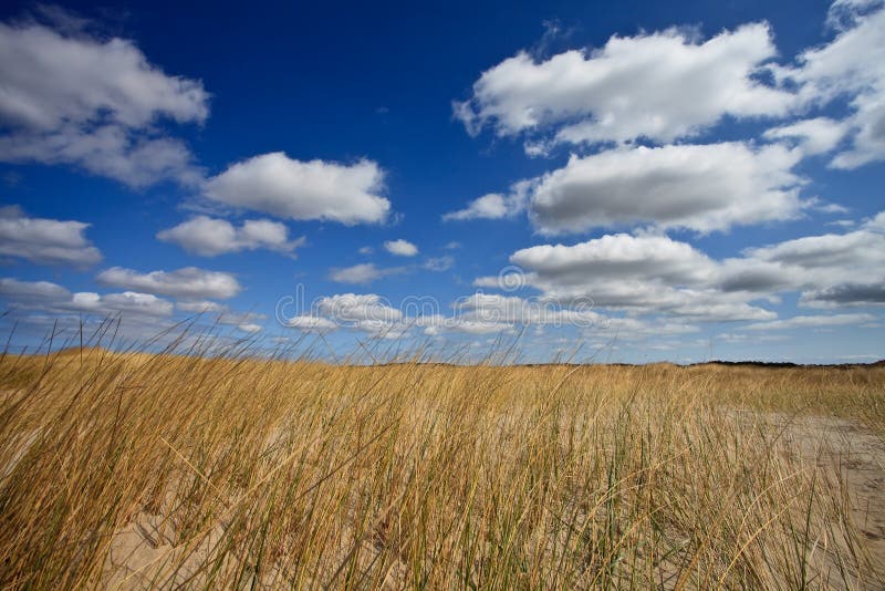 Sand dunes near to the sea