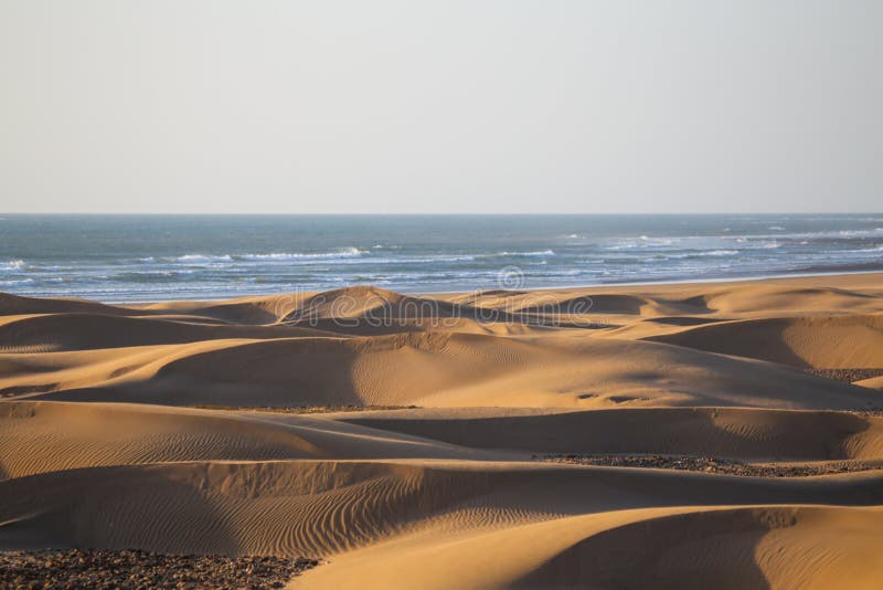 Sand Dunes Picture. Image: 1194426