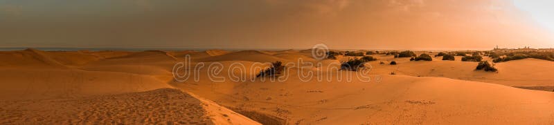 Sand dunes panorama