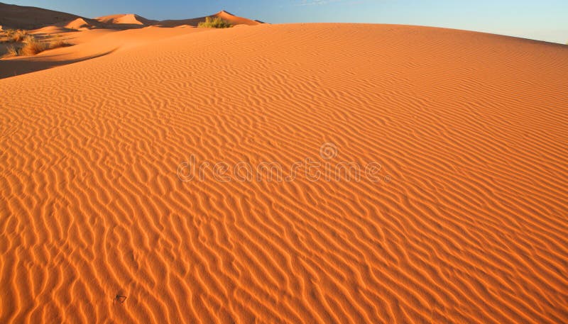 Sand dunes in the Sahara Desert, Morocco