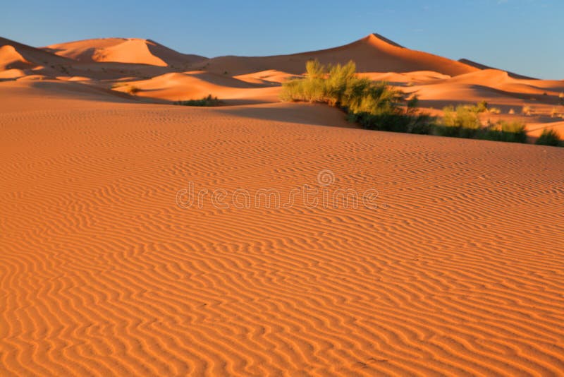 Sand dunes in the Sahara Desert, Morocco