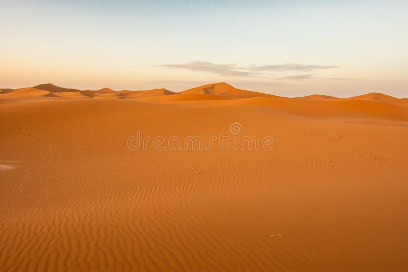 the largest desert in the world the sahara is in