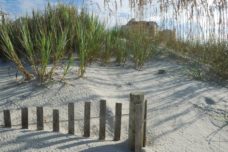 Sand dunes sea oats and fence