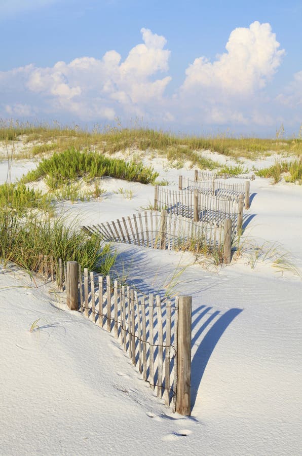 Sand Dunes and Sea Oats on a Pristine Florida Beach Stock Photo Image of seashore, clouds