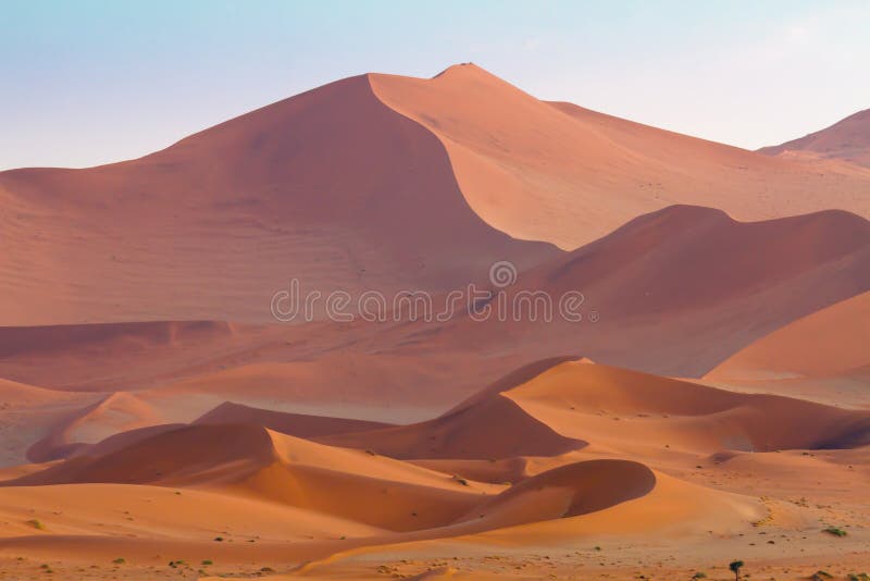 Sand dunes of Sossusvlei