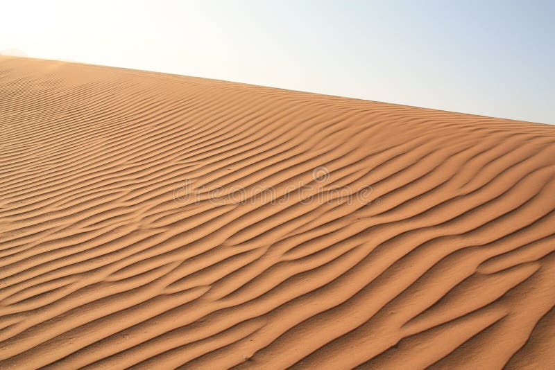 Sand dunes texture