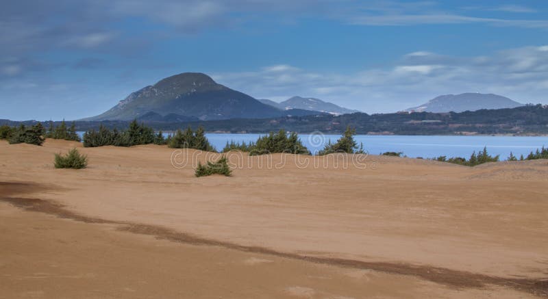 Sand dunes and wild bushes and a mountain on the background.