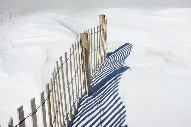 Sand Fence and Dunes Landscape