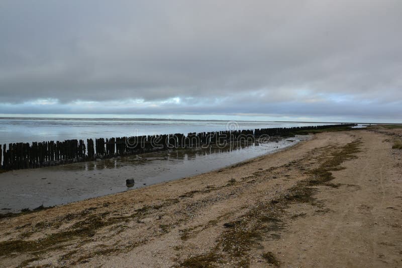 Sand Flats at Low Tide of Tidal Sea Waddensea Near Moddergat ...