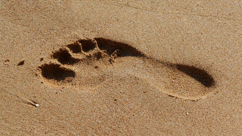 Footprint in the desert stock photo. Image of fitness - 14890232