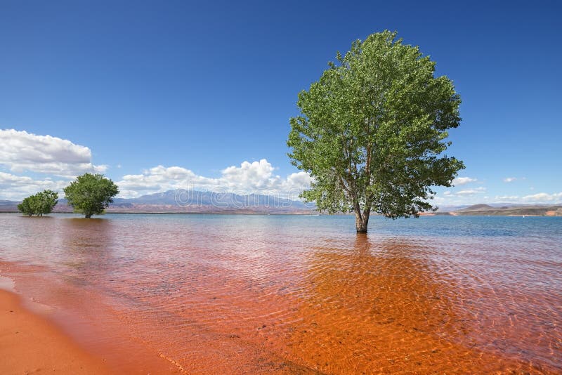 Sand Hollow State Park