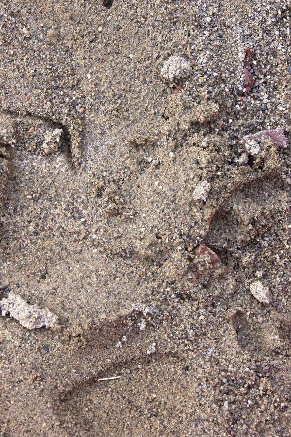 Sand inside a sandbox stock photo. Image of sandpit, outside 74476118