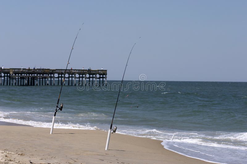 Sand ocean fish