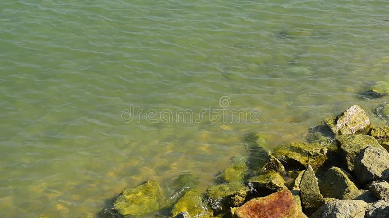 sand on the rayong beach and blue sky with cloud at rayong Thailand.