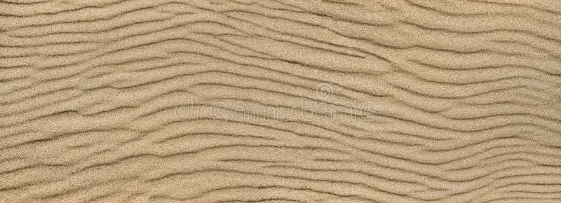 Sand Ripple Texture. Sandy Background Stock Image - Image of ...