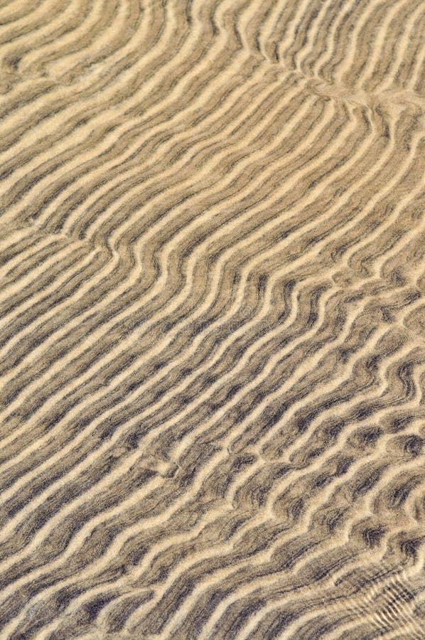 Sand ripples in shallow water stock image