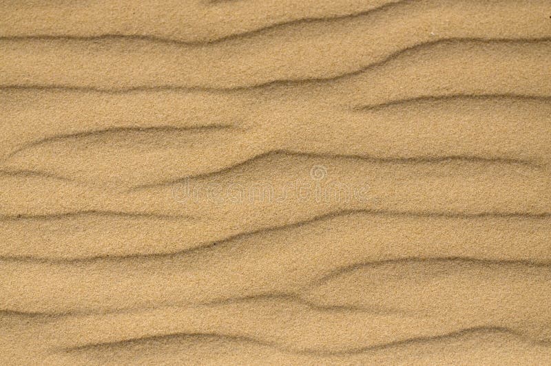 Sand/soil texture close up royalty free stock image