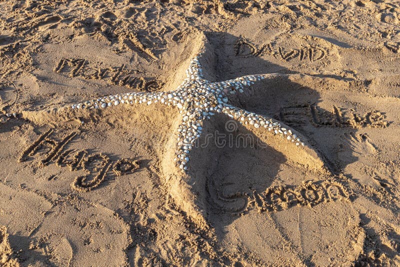 Sand Starfish, with Decorative Shells, on the Beach Stock Image Image