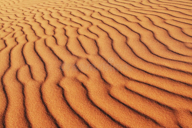 Textura acerca de arena en desierto.