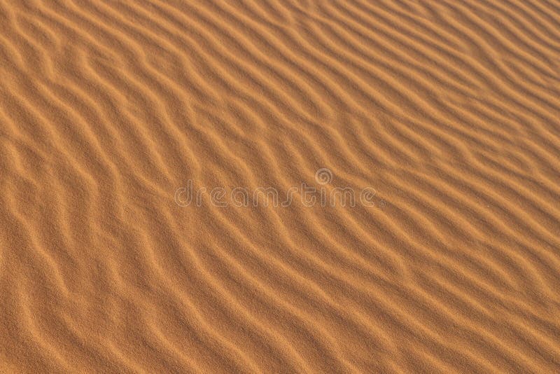 Sand Texture Background Of Desert Sand Dunes Beautiful Structures Of Sandy Dunes Sand With Wave From Wind In Desert Stock Photo Image Of Blue Sahara Sand Texture Background Of Desert Sand Dunes Beautiful Structures Of Sandy Dunes Sand With Wave From Wind In Desert Stock Photo Image Of Blue Sahara