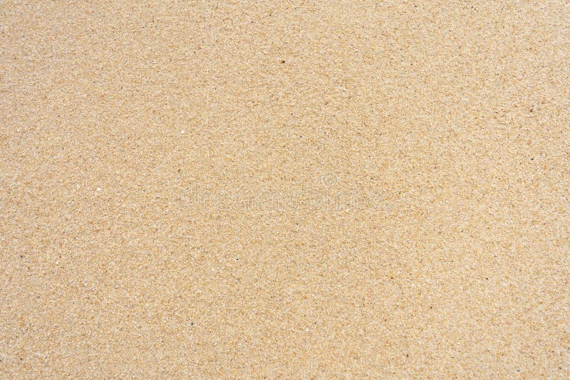 Sand texture on the beach. Crushed shells.