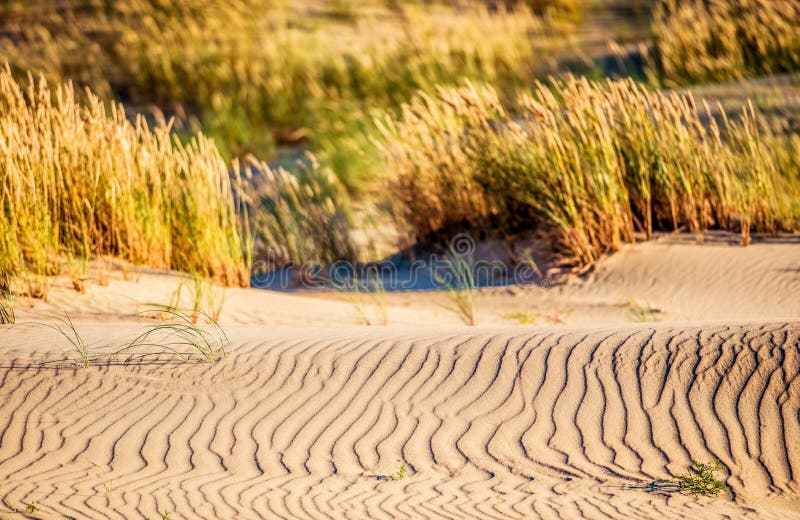 Sand und Gras stockbilder Sand und Gras stockbilder