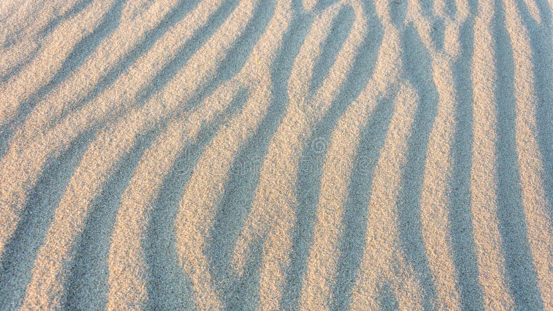 Sand - Waves In The Sand Beach In Backlight - Close Up