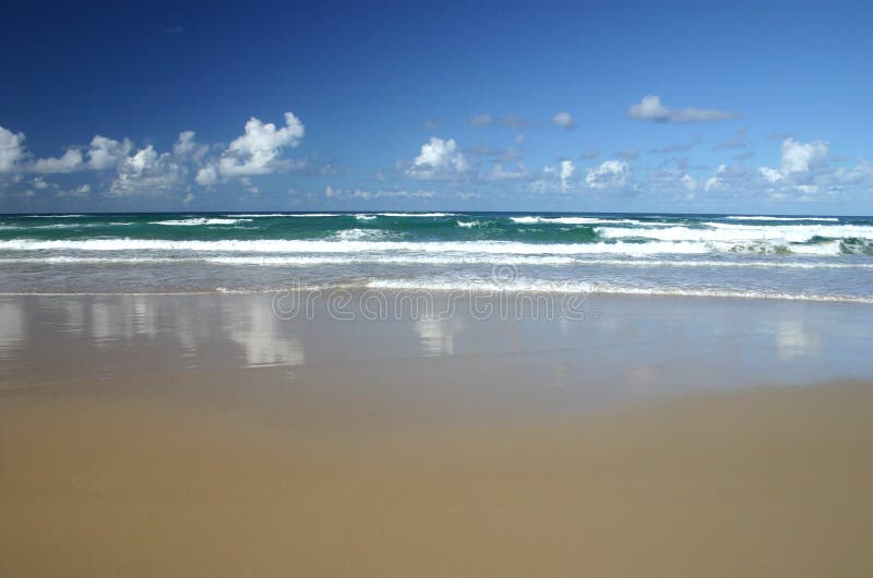 Sand Waves and Surf