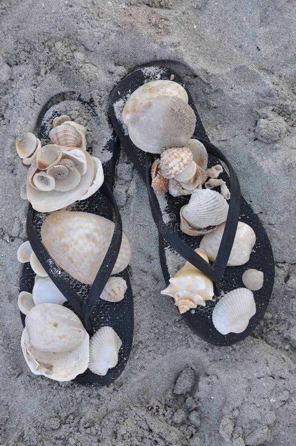 Sandaler och skal arkivbild Sandaler och skal arkivbild
