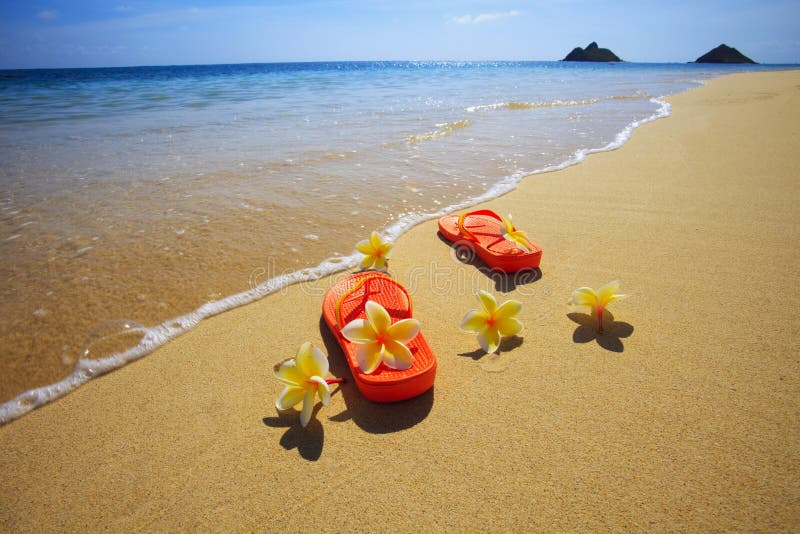 Sandals And Flowers On A Hawaii Beach Stock Photo Image of beach, pacific 9382094