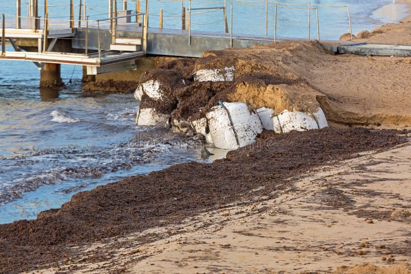 Sandbags Beach Erosion