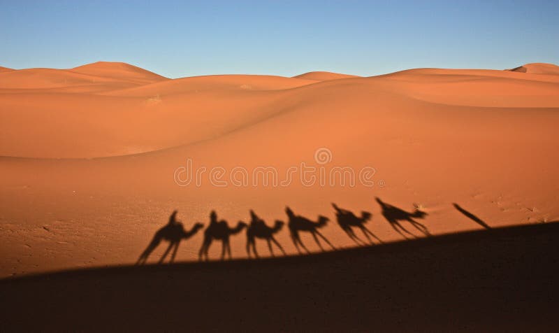 Sanddyn i Sahara Desert i Merzouga Marocko royaltyfria foton Sanddyn i Sahara Desert i Merzouga Marocko royaltyfria foton