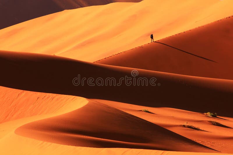Sanddyn i Sossusvlei arkivfoto Sanddyn i Sossusvlei arkivfoto