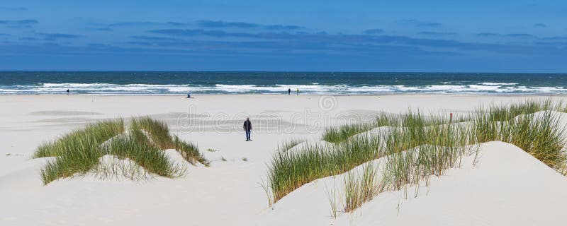 Sanddyner landskapsliknande tersching