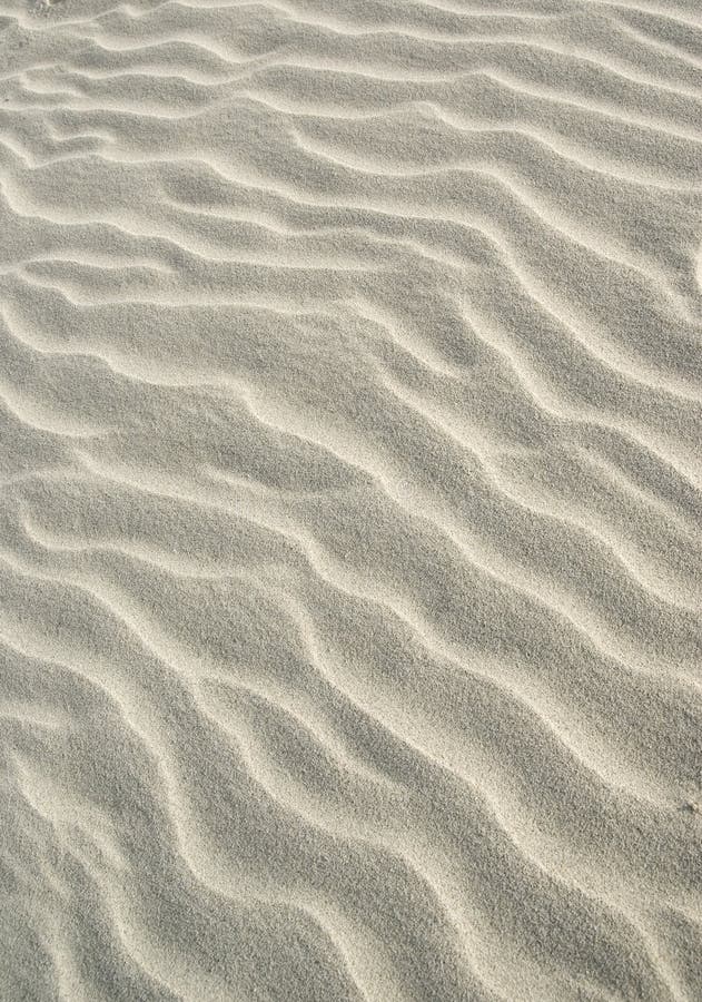 Sanddüne. lizenzfreies stockfoto Sanddüne. lizenzfreies stockfoto