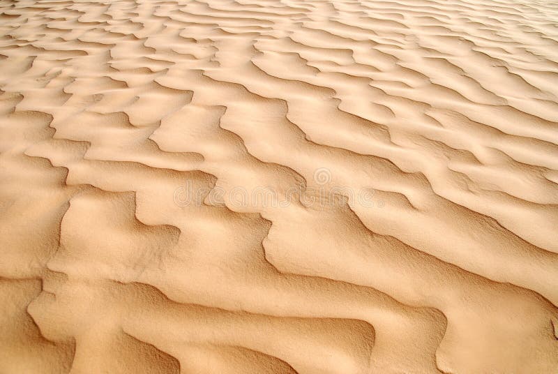 Sanddüne lizenzfreies stockfoto Sanddüne lizenzfreies stockfoto