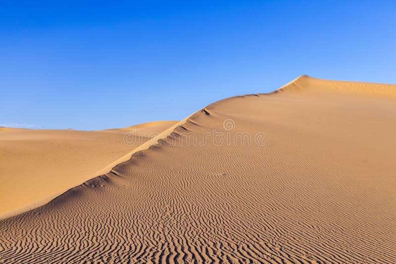 Sanddüne im Sonnenaufgang in der Wüste
