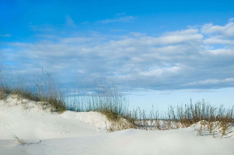Sanddünekante lizenzfreie stockfotos Sanddünekante lizenzfreie stockfotos
