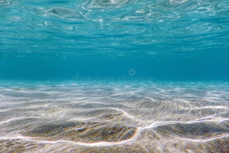 Sandig undervattens- bakgrund för havsbotten