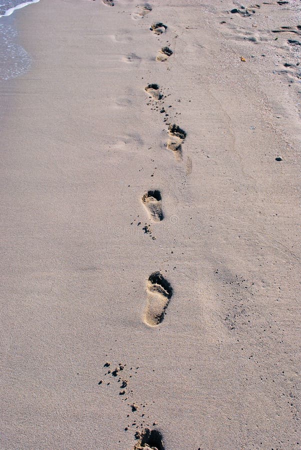 Sand step marks in beach. Sand step marks in beach