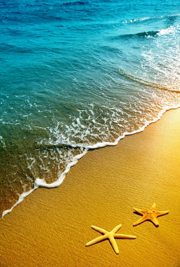 Starfish on sand and wave. Starfish on sand and wave