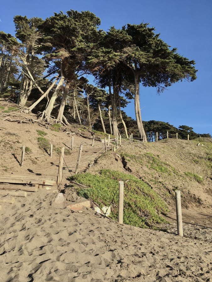 A part of the Pacific Coast Trail,it is a very inconspicuous set of railroad ties set into the sandy embankment. It is so inconspicuous that you can be standing right on it and not even realize it. The ones who can never miss this are those in the `Escape from Alcatraz Triathlon,` as this is one of the most intense parts of the whole race. A part of the Pacific Coast Trail,it is a very inconspicuous set of railroad ties set into the sandy embankment. It is so inconspicuous that you can be standing right on it and not even realize it. The ones who can never miss this are those in the `Escape from Alcatraz Triathlon,` as this is one of the most intense parts of the whole race.