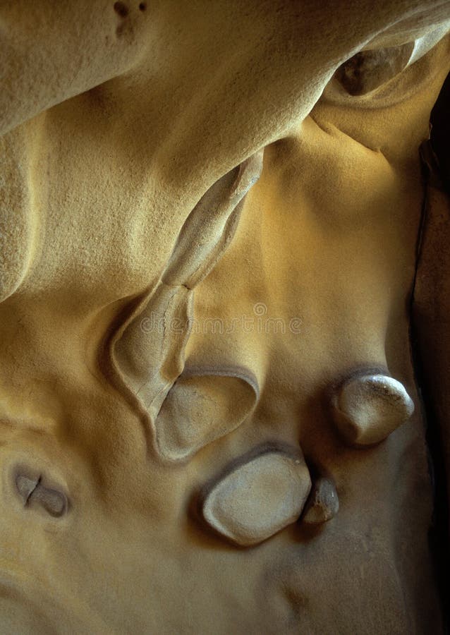 Texture and pattern on interior wall of a sandstone cave.