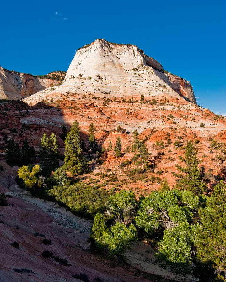 Sandstone Cliffs in Zion National Park Stock Photo - Image of canyon ...