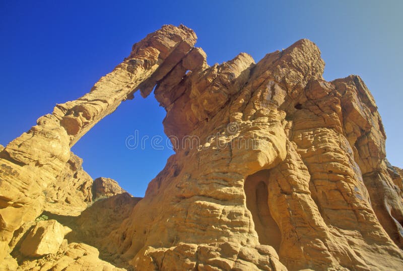Sandstone formation called Elephant Rock in Valley of Fire State Park, NV