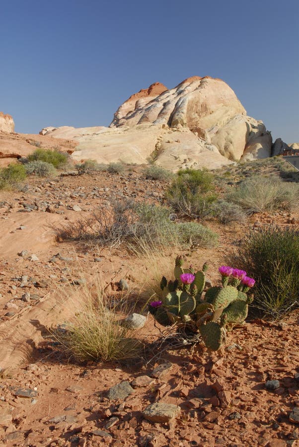 Sandstone formations in Valley of Fire, Nevada