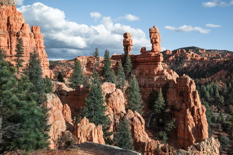 Sandstone Hoodoo Landscape With Pine Trees At Desert royalty free stock photos Sandstone Hoodoo Landscape With Pine Trees At Desert royalty free stock photos