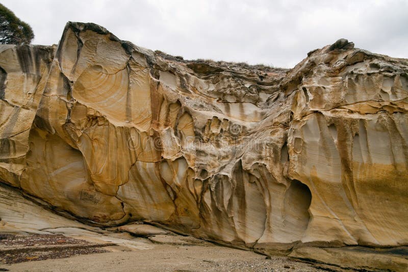 Sandstone patterns in rock