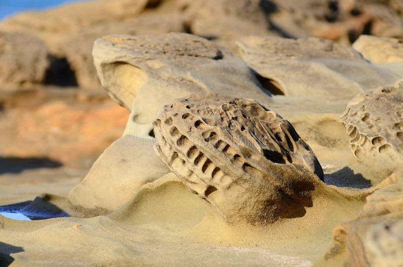 Sandstone Sculptures