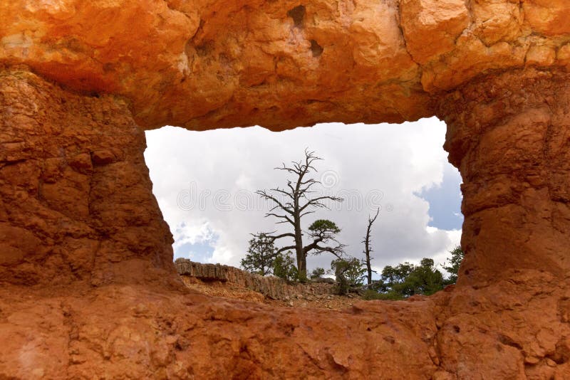 Sandstone Window